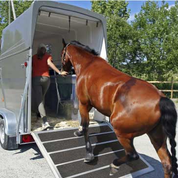 противоскользящая лента загон лошадь